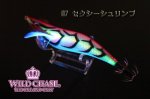 画像2: WILD CHASE 3.5号 #07セクシーシュリンプ [スレイカに効くBLUE glow] (2)