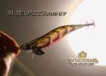 画像2: WILD CHASE 3.5号 #04磯スジエビ/ホロクリア [スレイカに効くBLUE glow] (2)