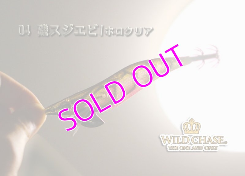 画像3: WILD CHASE 3.0号 #04磯スジエビ/ホロクリア [スレイカに効くBLUE glow] (3)