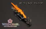 画像5: WILD CHASE 3.5号 #02ワイルドオレンジ [スレイカに効くBLUE glow] (5)