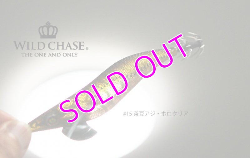 画像5: WILD CHASE 3.0号 #15茶豆アジ/ホロクリア [スレイカに効くBLUE glow] (5)