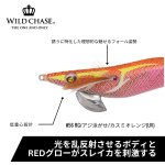 画像2: WILD CHASE 3.0号 #56 RG/アジ泳がせ/カスミオレンジ(UV)[3.0号] (2)